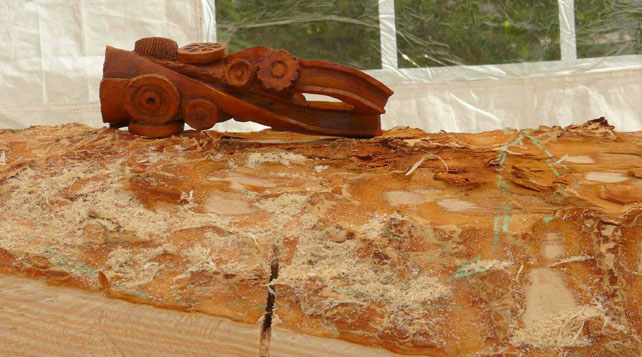 sculptures